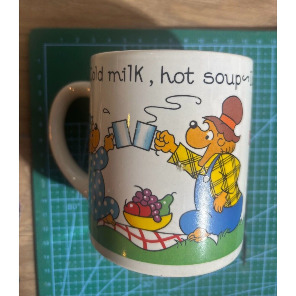 Vintage Princess House BERENSTAIN BEARS Coffee Mug 1978 Ceramic 8oz Korea